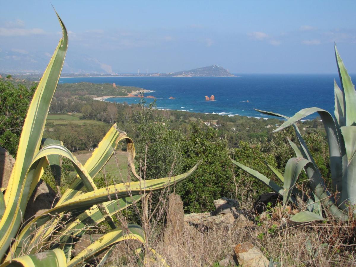 Apartmán Estate In Ogliastra Sa Figumoru 5 Minuti Al Mare Bari Sardo Exteriér fotografie