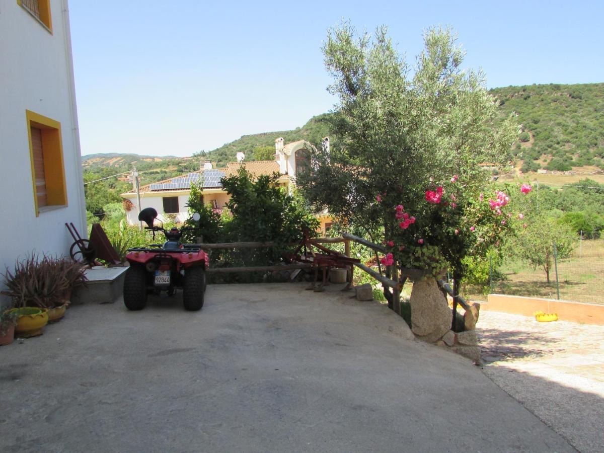 Apartmán Estate In Ogliastra Sa Figumoru 5 Minuti Al Mare Bari Sardo Exteriér fotografie